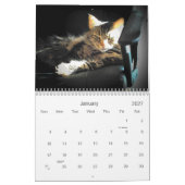 De houding van de Grumpy Angel Kalender (Jan 2027)