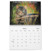 De houding van de Grumpy Angel Kalender (Mar 2027)