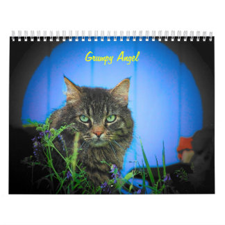 De houding van de Grumpy Angel Kalender