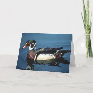 DE HOUTEN KAART VAN DE EEND