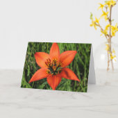 De houten Kaart van de Nota van de Lelie (Gele Bloem)