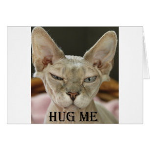 De Hug me kat