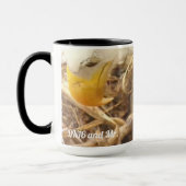 De Hug Mok Decorah North Nest (Links)