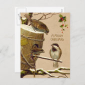 De Hulst van het Vogelhuis van de Mus van de Vogel Feestdagenkaart (Voorkant / Achterkant)