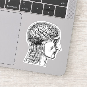 De Human Brain Medical Illustration Sticker