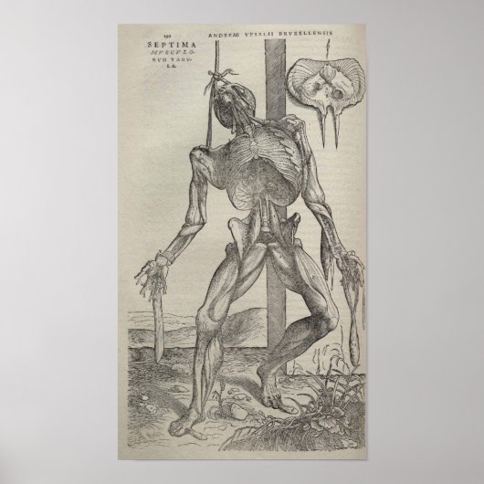 De Humani Corporis Poster (Voorkant)