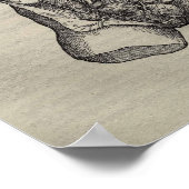 De Humani Corporis Poster (Hoek)