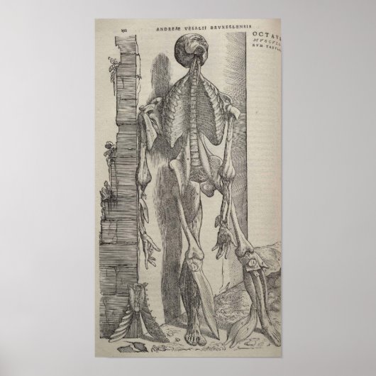 De Humani Corporis Poster (Voorkant)