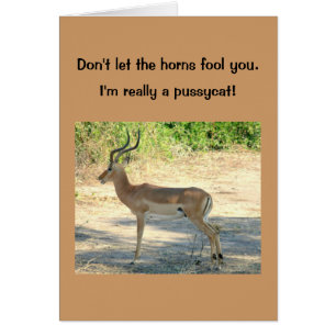 de Humoristische kaart, "liet niet de Dwaas van