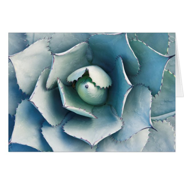 De Huntington Botanische Tuin (Voorkant Horizontaal)