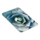 De Huntington Botanische Tuin Magneet (Rechterzijde)