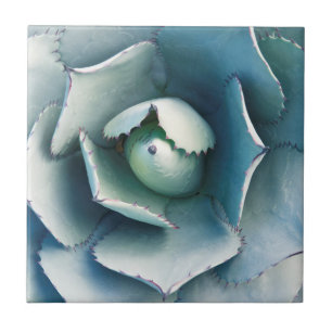 De Huntington Botanische Tuin Tegeltje