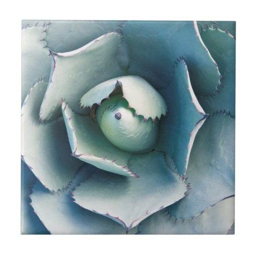 De Huntington Botanische Tuin Tegeltje (Voorkant)