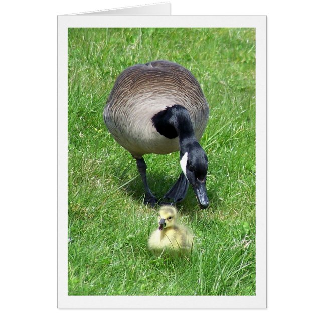 De Hustle (Voorkant)