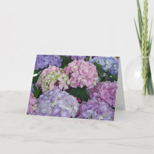 De Hydrangea hortensia's van de sympathie Kaart