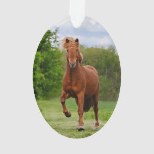 De IJslandse Pony loopt Tölt Funny Photo Horse Lo Ornament