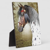 De Indiase Pony Fotoplaat (Zijkant)