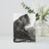 De Indiase Waderoo-aap Briefkaart (Staand voorkant)