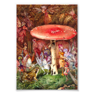 De indringer John Anster Fitzgerald Foto Afdruk