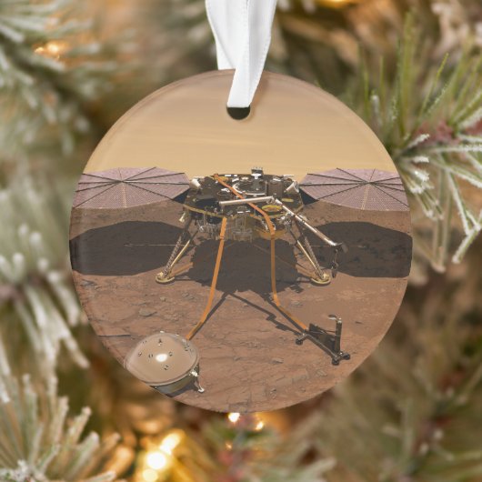 De Insight Lander opererend op het oppervlak van M Ornament (Boom)