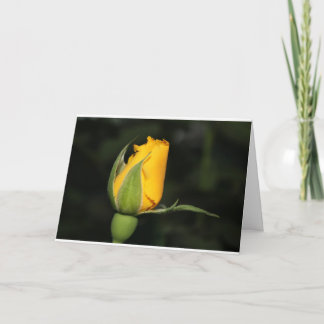 De inspiratie nam kaart met bijbelvers toe