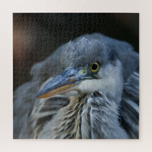 De intense blik van een Grijze Heron in Close-Up Legpuzzel (Verticaal)