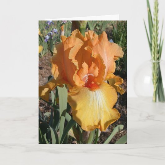 De iris wordt goed Kaart (Voorkant)