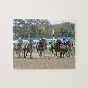 De Iroquios-trappen - Empire Showcase Day Legpuzzel