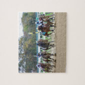 De Iroquios-trappen - Empire Showcase Day Legpuzzel (Verticaal)