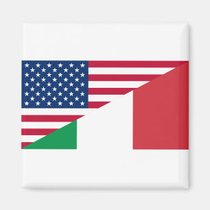 De Italiaanse Amerikaanse Vlag van de V.S. Italië Magneet