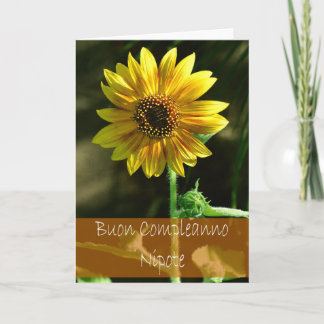 De Italiaanse Nicht van FO van de Kaart van de