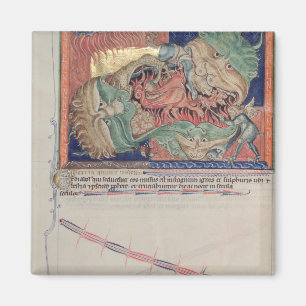 De jagen van de hel slikken de rode draak magneet