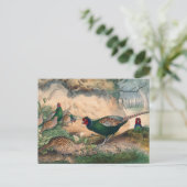 De Japanse fazant van Joseph Wolf Briefkaart (Staand voorkant)