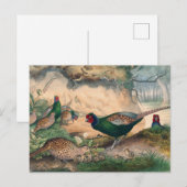 De Japanse fazant van Joseph Wolf Briefkaart (Voorkant / Achterkant)