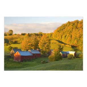 De Jenne Farm in Woodstock, Vermont. Herfst. 2 Foto Afdruk
