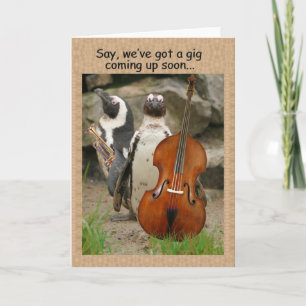 De Jol van de pinguïn nodigt uit