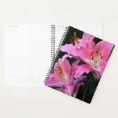 De jolies fleurs de lys rose (Devant avec enveloppe)