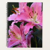 De jolies fleurs de lys rose (Devant)