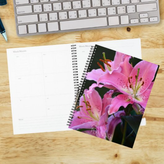 De jolies fleurs de lys rose