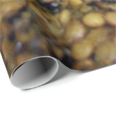 De jolies lentilles ! Papier cadeau ! (Coin rond)