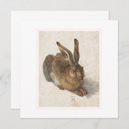 De jonge haas (Voorkant / Achterkant)