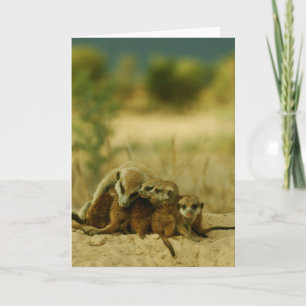 De jongen van bakkebaarden - KMP Kaart 19