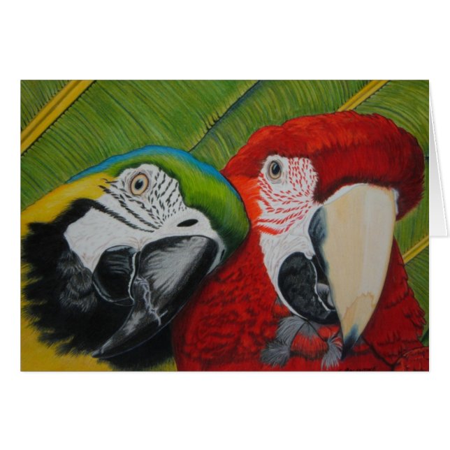 De jongens (Voorkant Horizontaal)