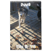 De jongens kalender (Hoes)