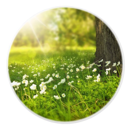 De Joys of Spring Keramische Knop (Voorkant)