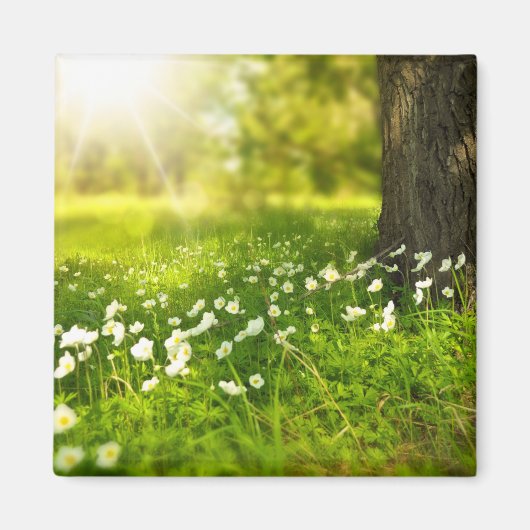 De Joys of Spring Magneet (Voorkant)