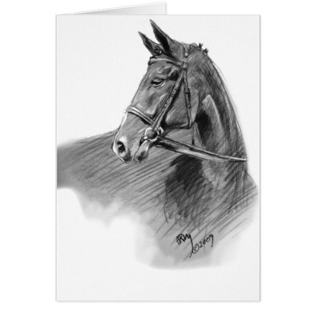 "De jumper" (Voorkant)