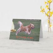 De Kaart 'Age van de Verjaardag van het golden (Gele Bloem)