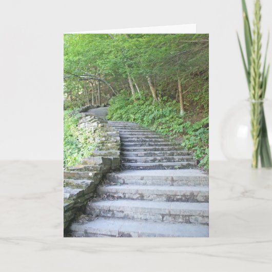 De Kaart van afstuderen, het Park van de Staat van (Voorkant)