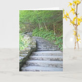 De Kaart van afstuderen, het Park van de Staat van (Gele Bloem)